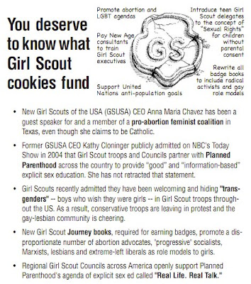 Illustration for article titled Conservative Friends: Stop Trying to Convince Me that Girl Scouts are Evil